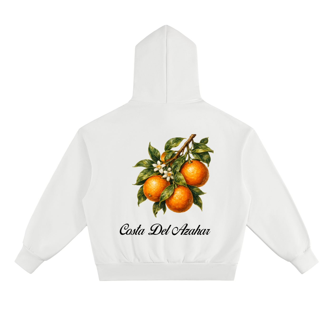 Costa Del Azahar - Oranges