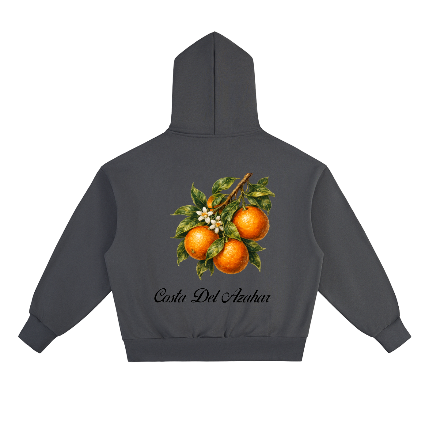 Costa Del Azahar - Oranges